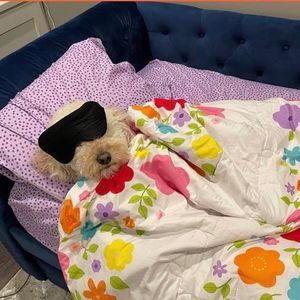 Meet your Posher, Caryn